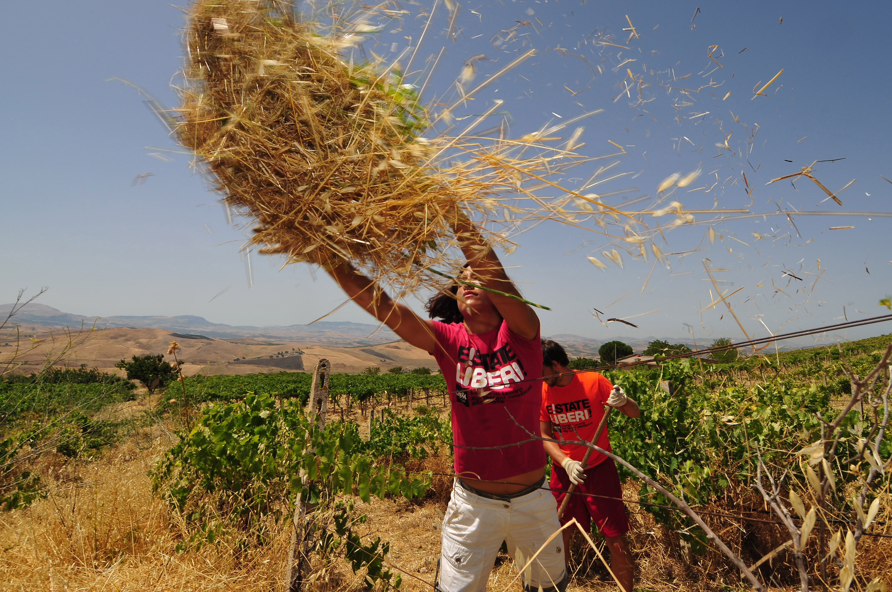 Fondi comunitari, già erogati anticipi dei contributi per 24 mila agricoltori