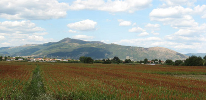 Parco agricolo della Piana e aeroporto, Rossi: 'Così si conciliano ambiente, sviluppo e lavoro'