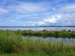 Laguna di Orbetello, raccolta delle alghe: attivate le idrovore