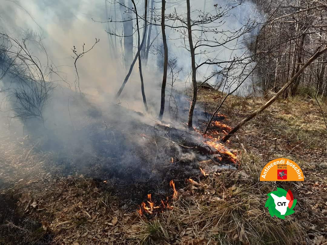 Fiamme a Casabasciana (Lu), in azione volontari antincendio, operai forestali e elicottero