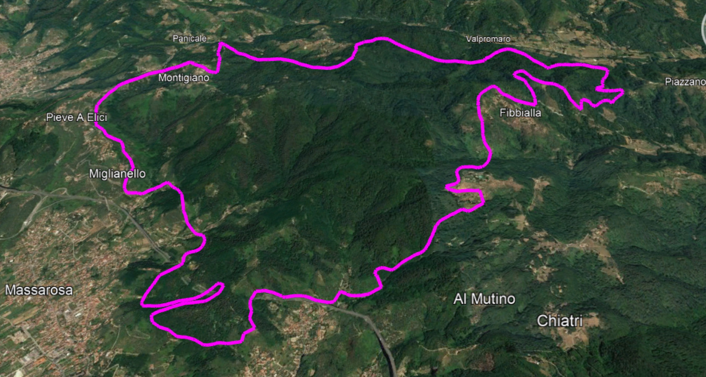 Incendi: Versilia, Vecchiano e Certaldo in contenimento. Mezzi e squadre restano in azione