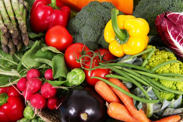 Arriva Firenze BIO, la Regione sostiene le imprese dell'agricoltura biologica e biodinamica