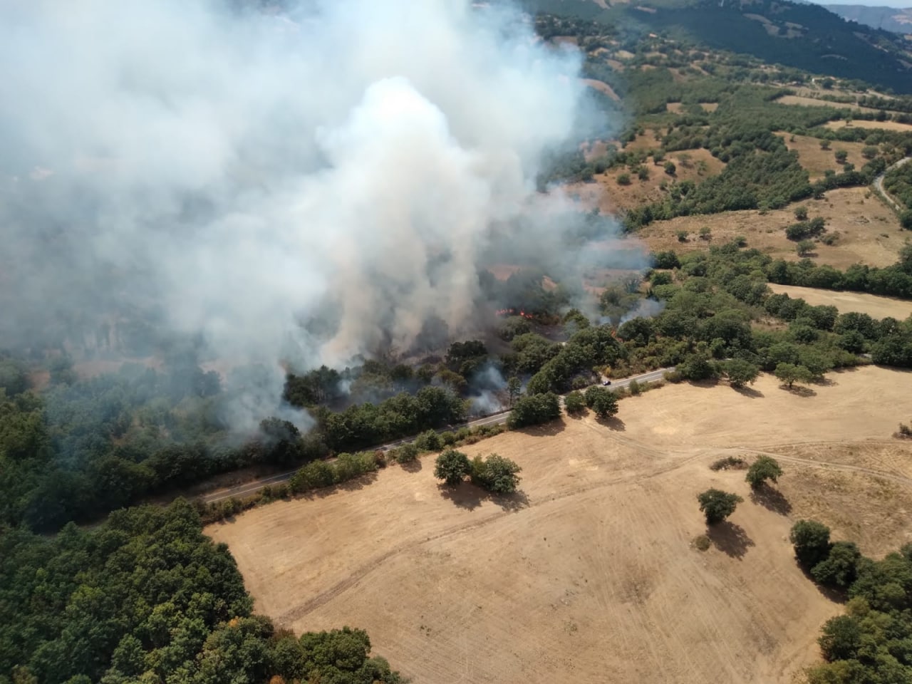 Grosseto, nuovo incendio a Scansano, vicino alla frazione Murci