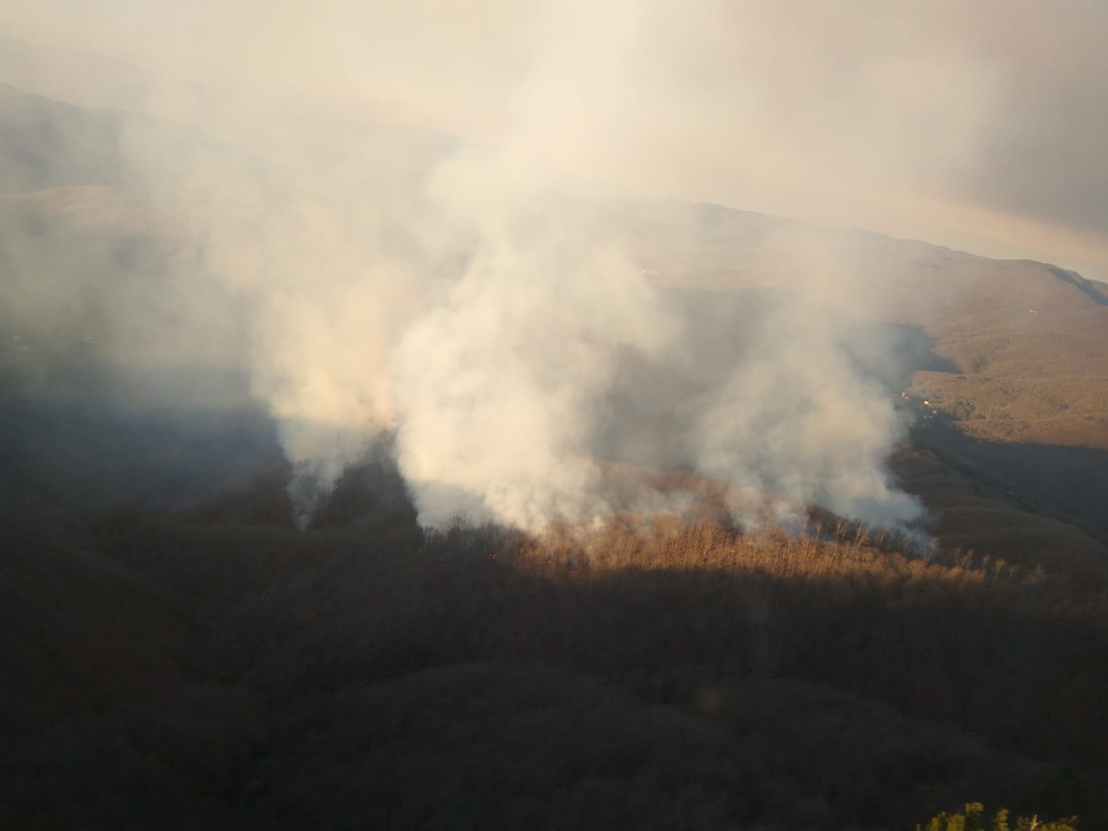 Incendio a Pontito, nel comune di Pescia, interessati 10 ettari di bosco