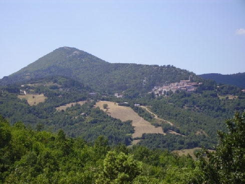 Paesaggio e foreste, ruolo e potenzialità degli Osservatori locali