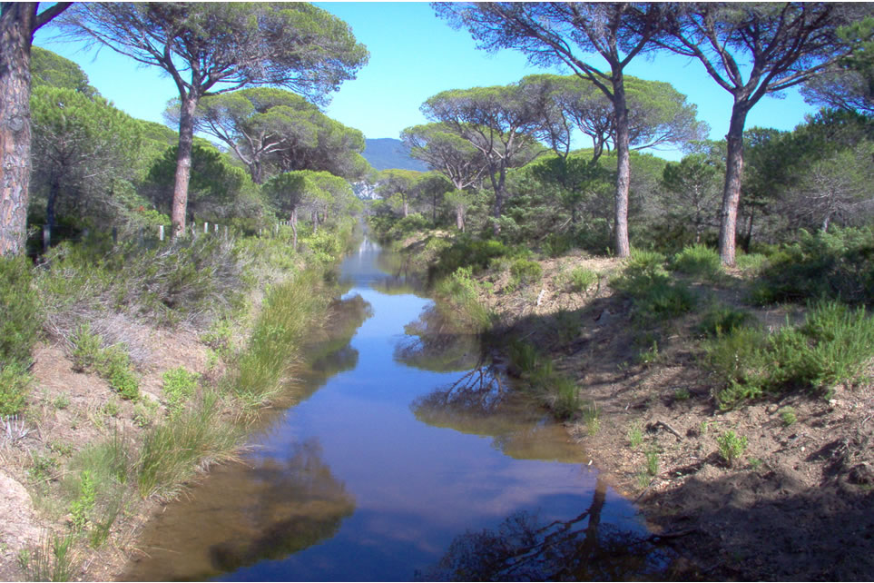 Parchi, riserve e biodiversità, 500mila euro per promozione e valorizzazione 2020