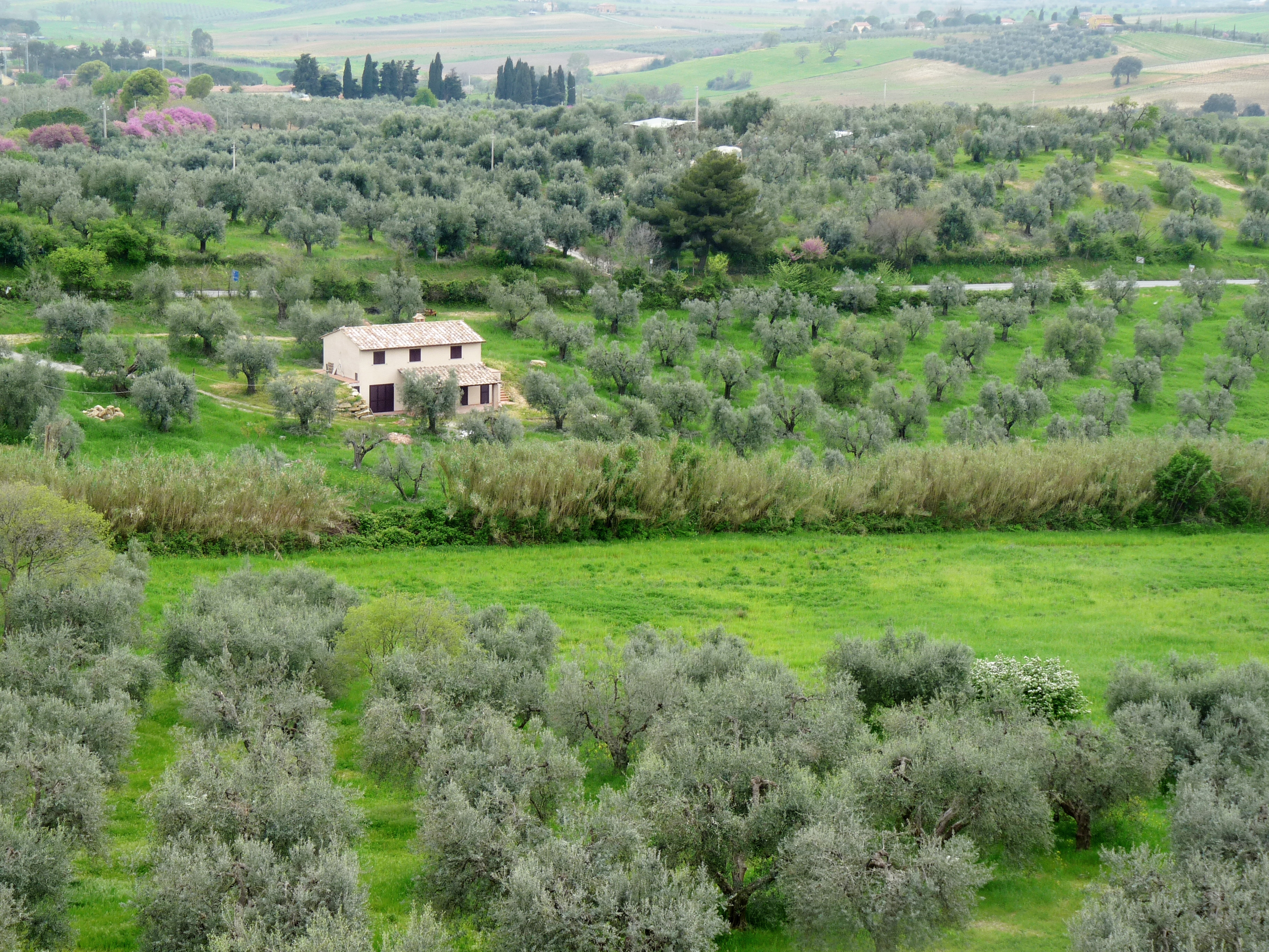 Centri di assistenza agricola, incrementate le risorse di 200mila eu...