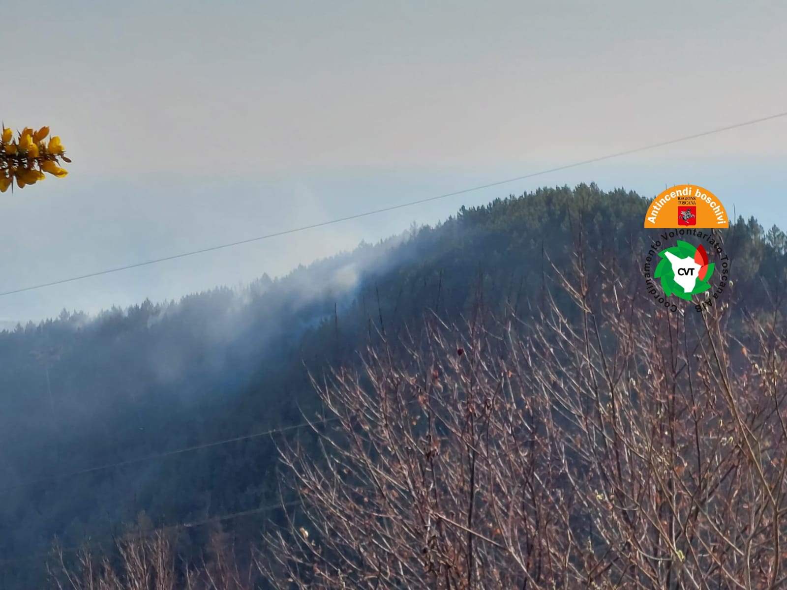 Incendio a Montignoso, arrivati due canadair che stanno contenendo le fiamme