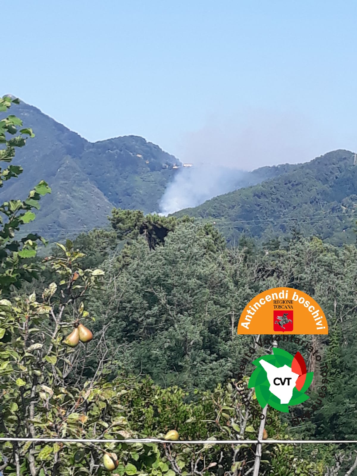 Incendio boschivo a Camaiore, sul posto due elicotteri e volontari Aib
