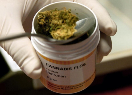Farmaci con cannabis, accordo con stabilimento chimico farmaceutico militare per fornitura