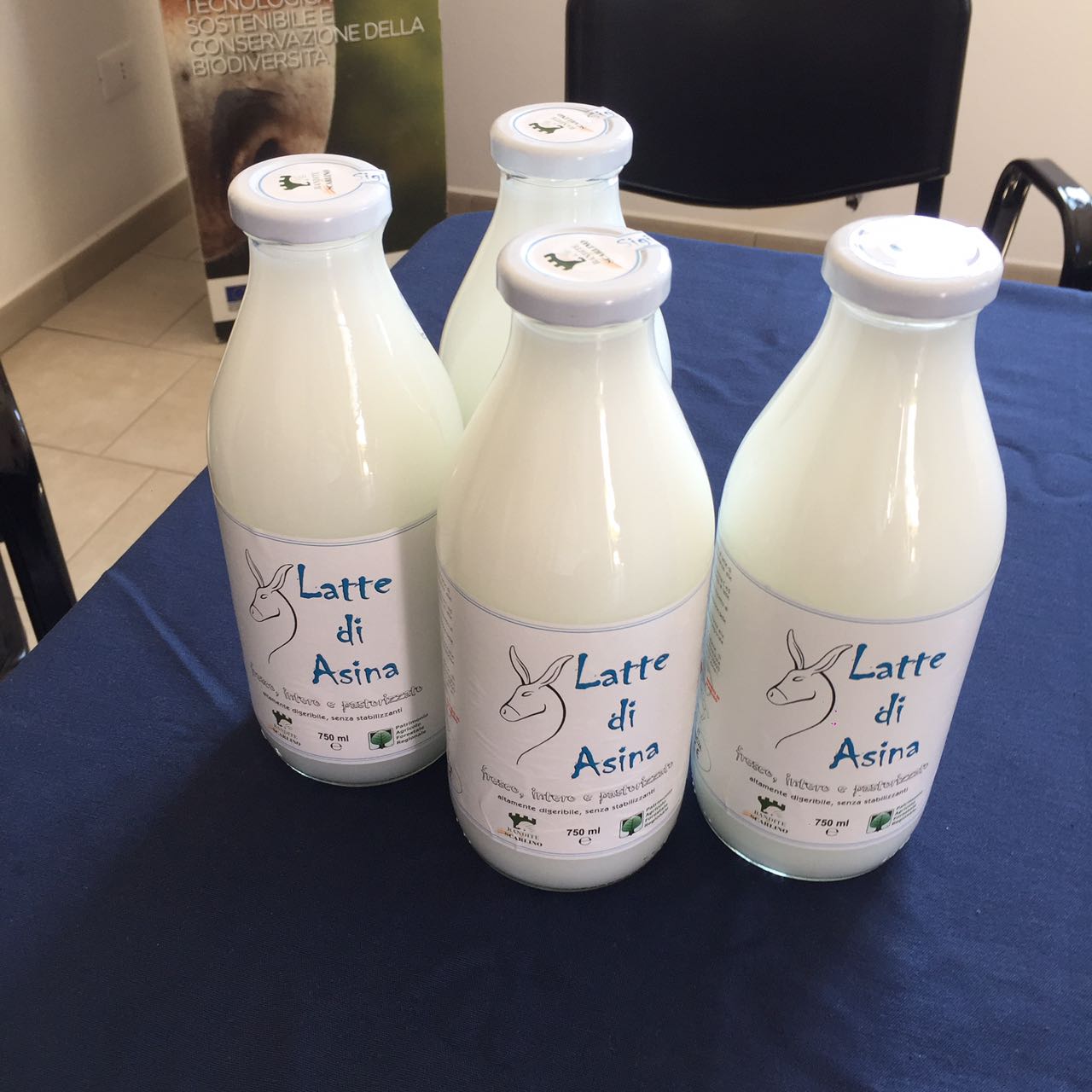 Latte d'asina per bambini allergici a latte vaccino, presentati i primi risultati del progetto regionale
