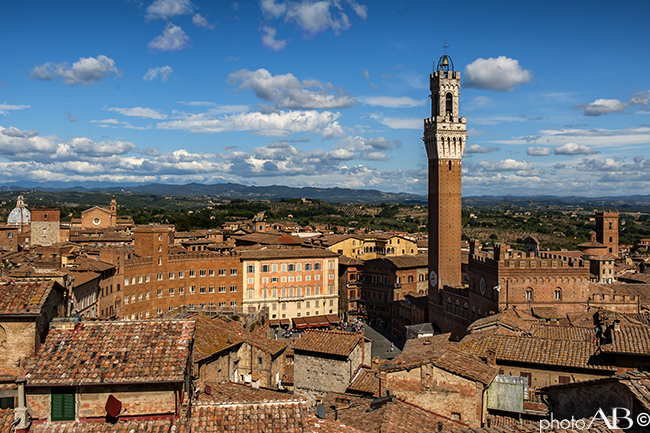 La V edizione di Wine&Siena: lunedì 27 gennaio, alle 12, la presentazione