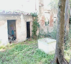 Sgombero dell'immobile di via San Gaetano a Livorno, Saccardi ringrazia magistratura e forze dell'ordine