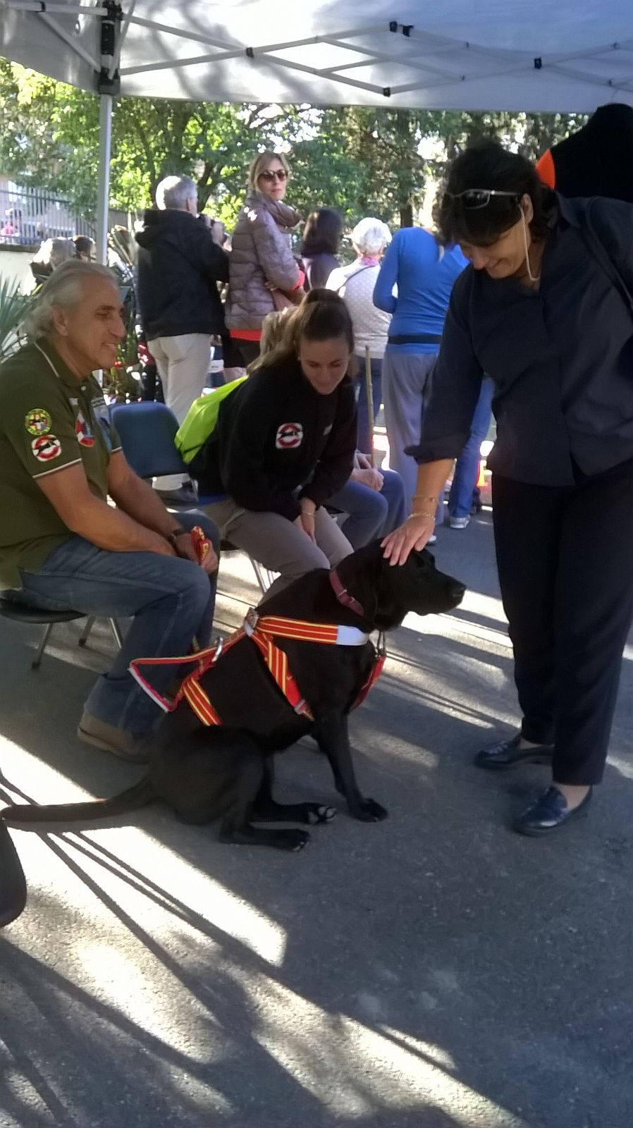 Scuola cani guida, successo dell'Open Day. Saccardi: