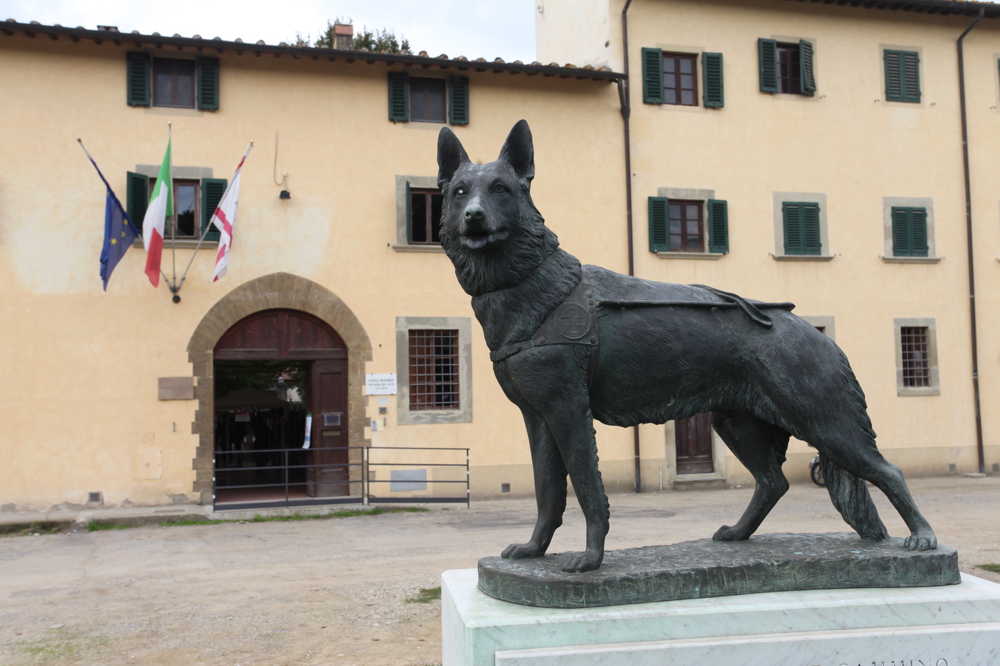 La scuola cani guida di Scandicci apre le porte: open day il 22 ottobre