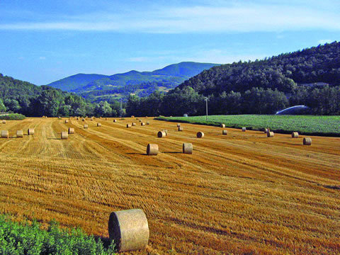 Resilienza e pregio ambientale, finanziato il progetto dell’Unione Comuni Mugello
