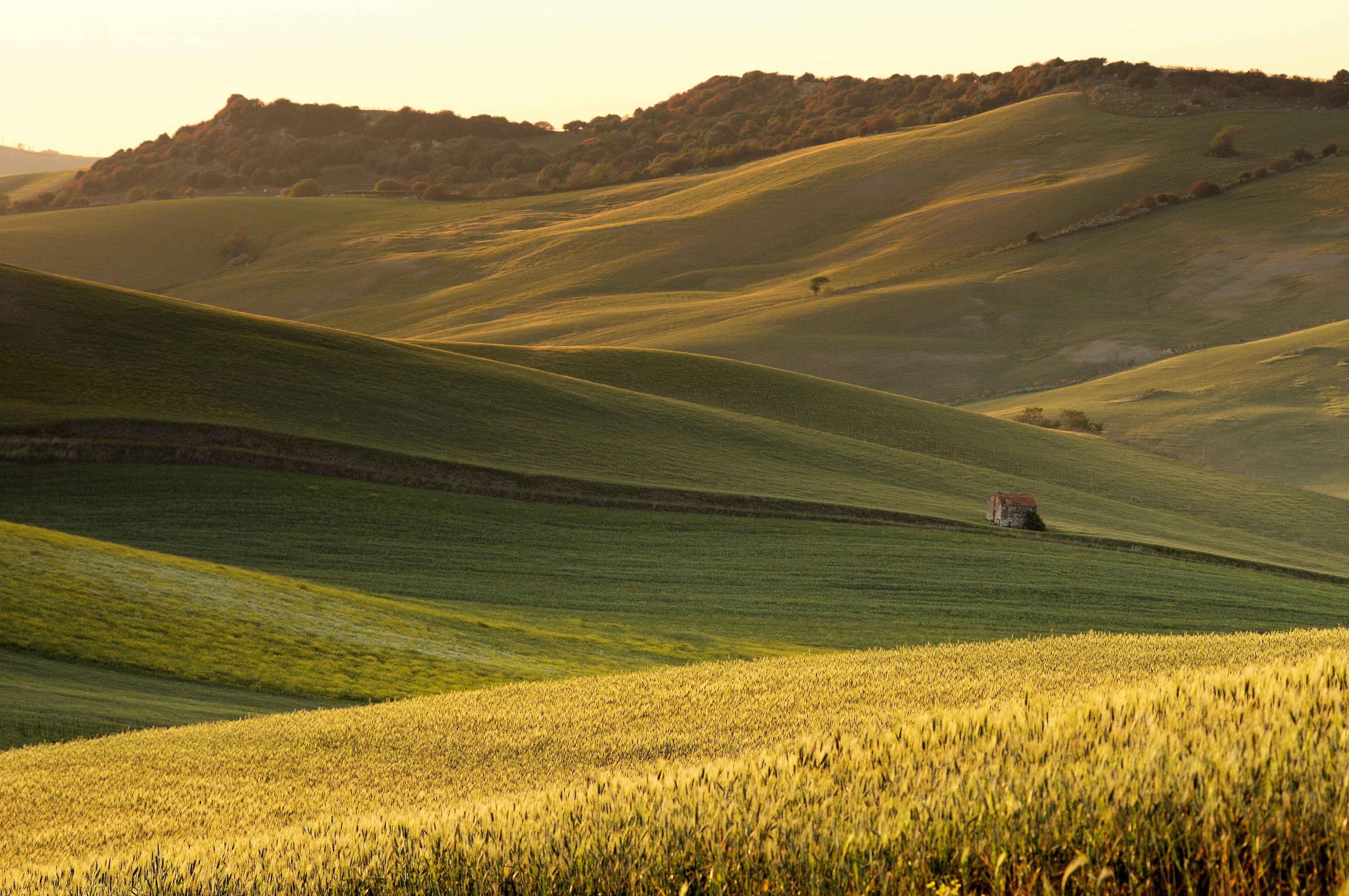 Agricoltura, riconoscimento ufficiale per il Distretto Rurale della Toscana del Sud