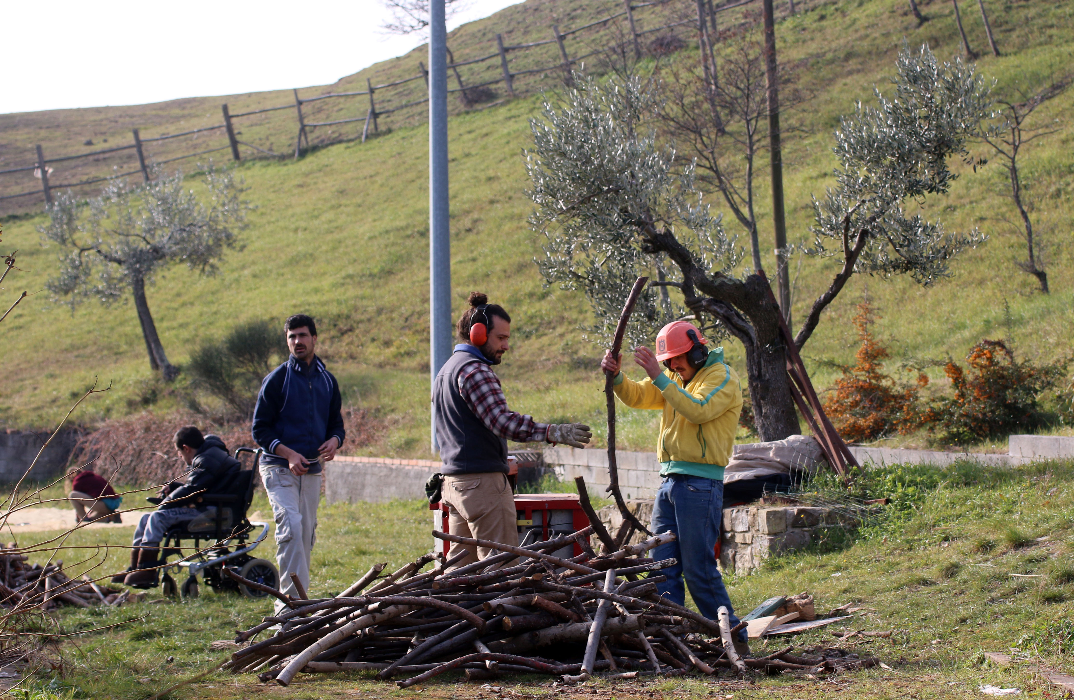 Agricoltura sociale: ora c'è anche un blog per scambiarsi notizie ed esperienze