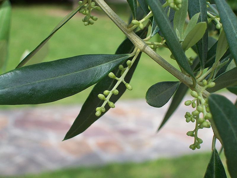 Agroalimentare, 30 milioni per i nuovi progetti di filiera