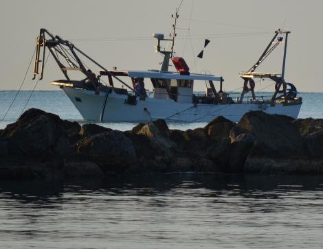 Pesca e acquacoltura, in arrivo il bando per ammodernare le aree portuali