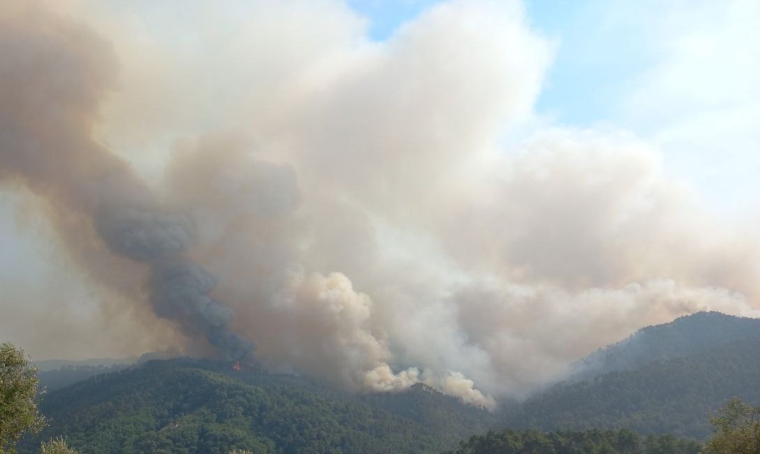 Incendi, a Massarosa mezzi ancora attivi. Giani: “Fronte circoscritto, pericolo non passato”