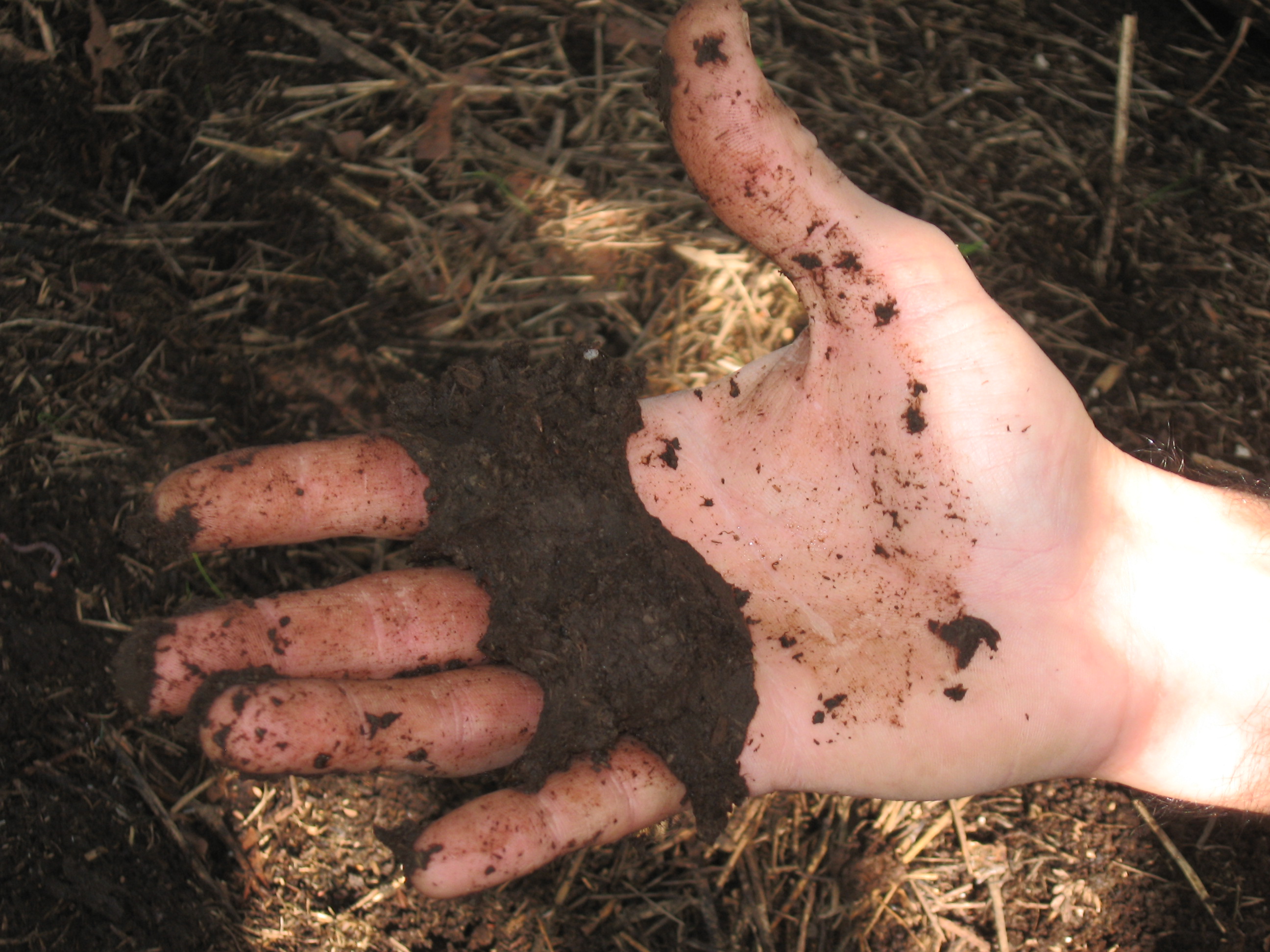 Imprese agricolo forestali: nuove procedure per l’iscrizione all’Albo regionale