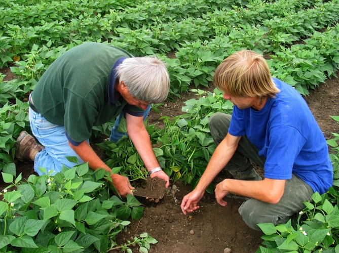 Programma di sviluppo rurale: proroga dei bandi aperti fino ad aprile 2020