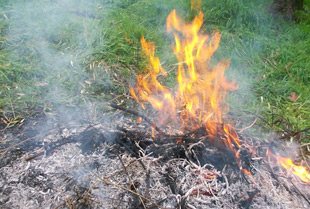 Agricoltura e foreste: ancora vietato ogni tipo di fuoco e abbruciamento
