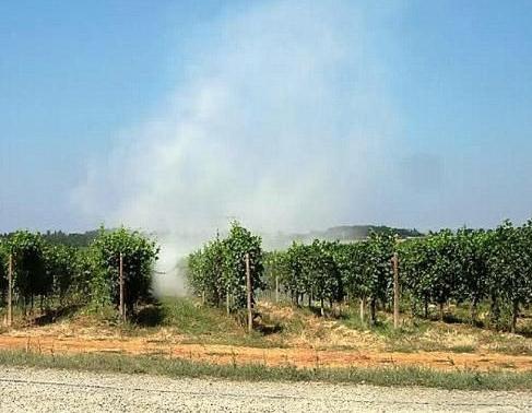 Agricoltura, da Ue copertura totale per spese del Fitosanitario contro organismi nocivi