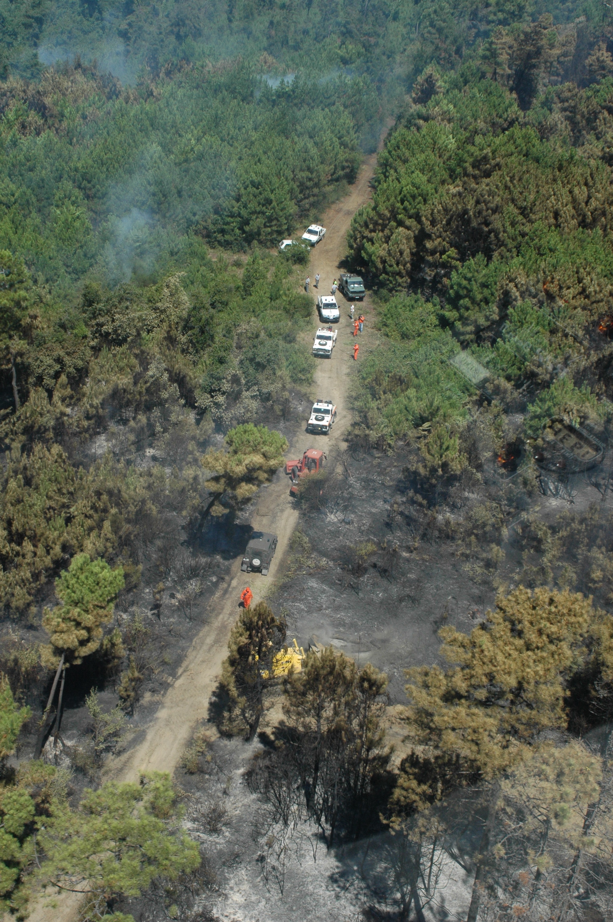 Incendi boschivi, prorogato al 30 settembre il divieto di abbruciamento