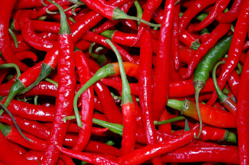 Torna il Peperoncino Day: lunedì 30, alle ore 12, la conferenza stampa