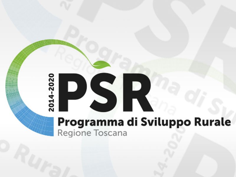 Agricoltura e fondi Ue, già stanziati 861 milioni; i benefici per ambiente e cibo di qualità