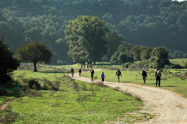 Turismo, Ciuoffo a Capannori all'inaugurazione del 'Labirinto del Pellegrino'