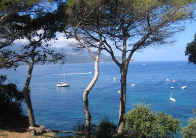 Riapertura spiagge, cartelloni con norme uguali per tutti i comuni del litorale