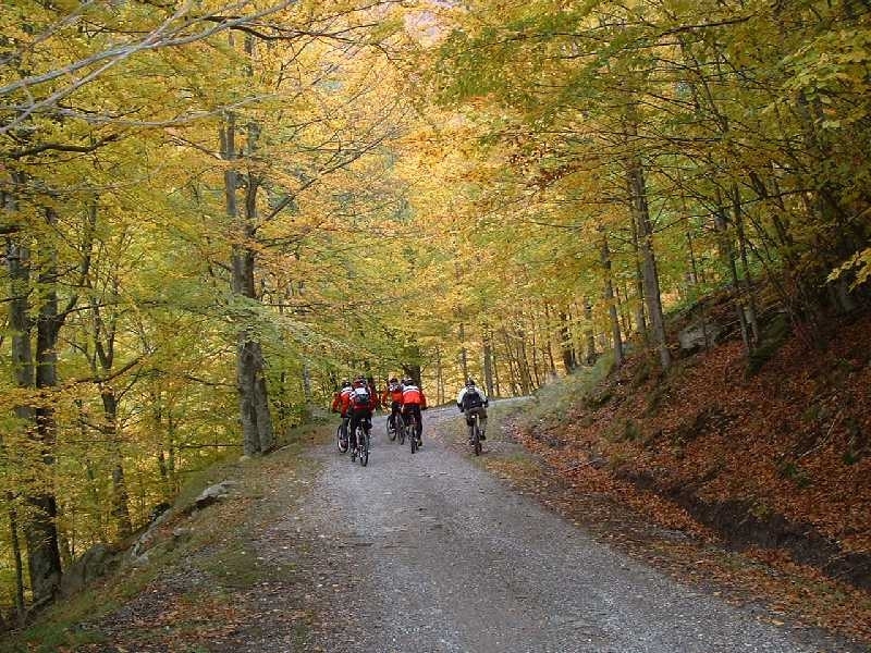 Turismo e commercio in aree montane: 2,3 milioni per progetti.