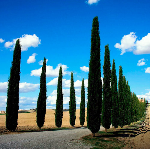 Cinque milioni di euro per rilanciare il turismo in tutta la Toscana