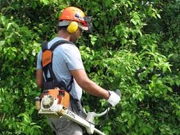 Lavori di pubblica utilità, nel 2016 nuovo avviso per 600 posti. Solo nelle aree di crisi