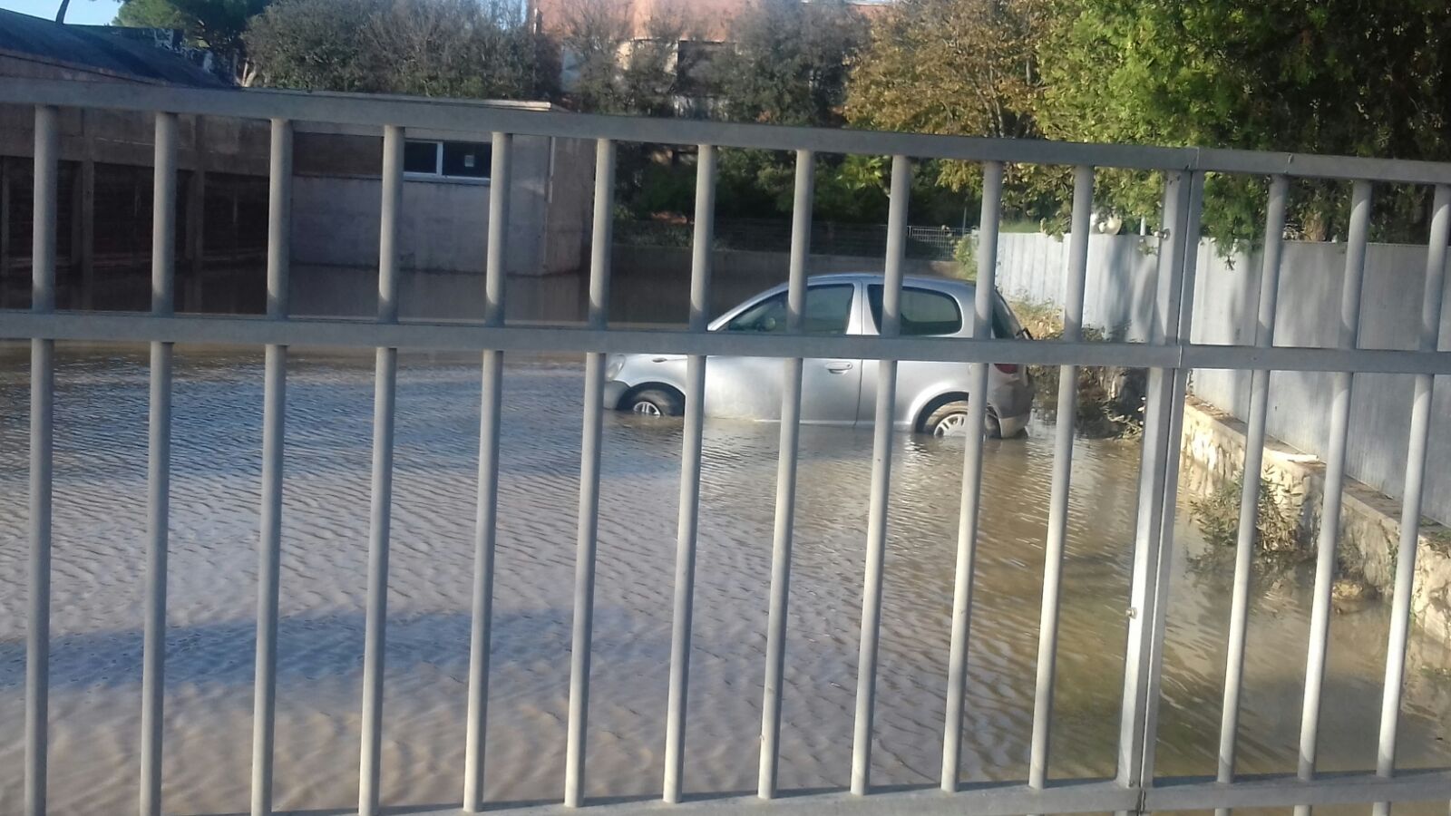 Alluvione Livorno, ISEE e contributo sociale: basta la ricevuta
