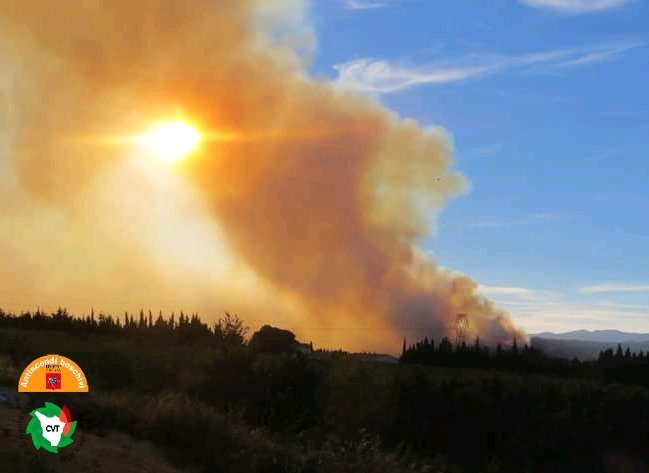 Incendi boschivi, divieto assoluto di abbruciamento di residui vegetali fino al 31 marzo
