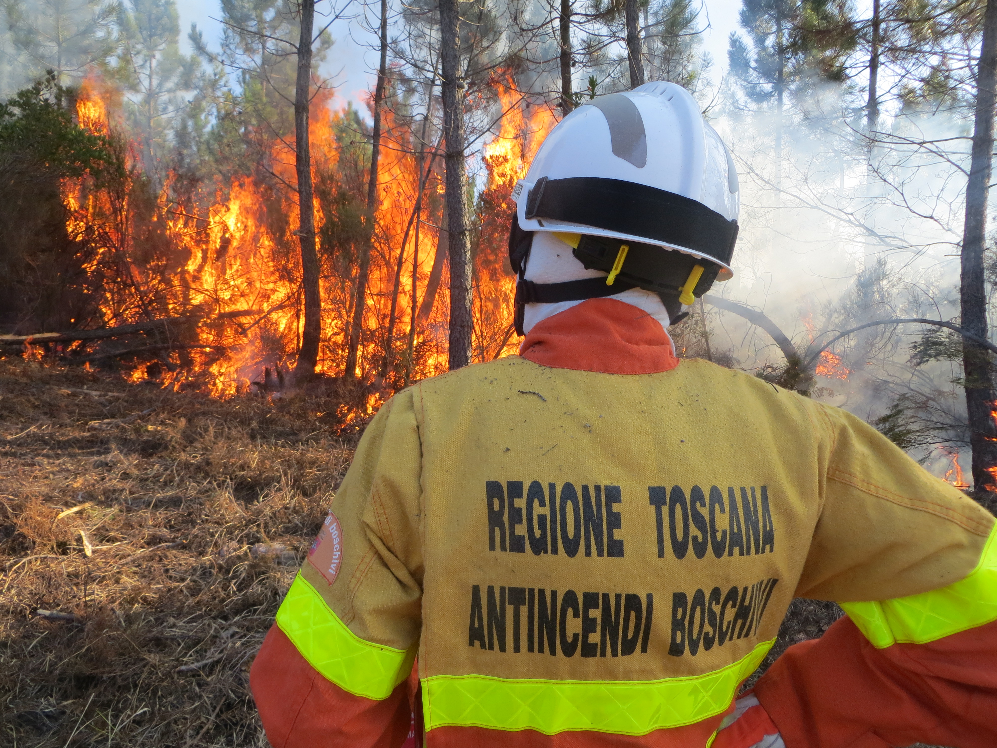 Incendi, in fiamme 26 ettari di bosco a Roccalbegna (GR)
