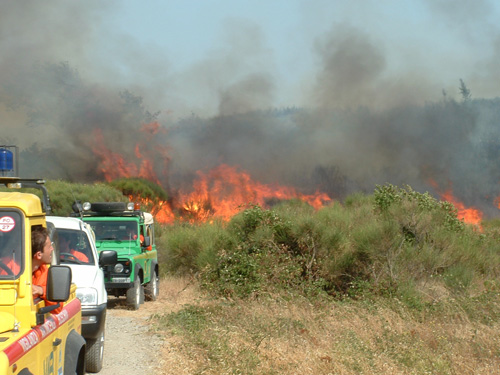 Incendio nei pressi di Capannori, 3 elicotteri e 2 Canadair al lavoro