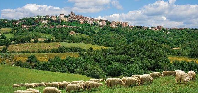 #ToscanaSostenibile, proclamati i vincitori del