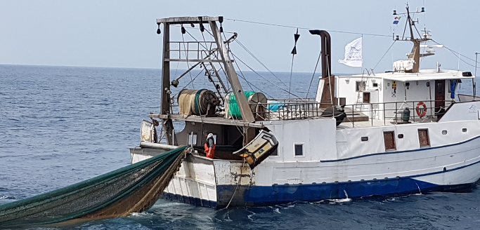 Plastiche in mare, la Camera ha deciso di far tesoro dell'esperienza toscana di Arcipelago Pulito