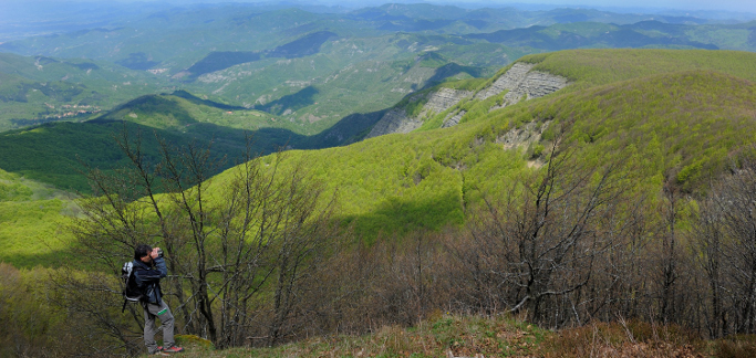 Silvicoltura, approvato il Piano di lavoro e attività: 3 milioni per le foreste toscane