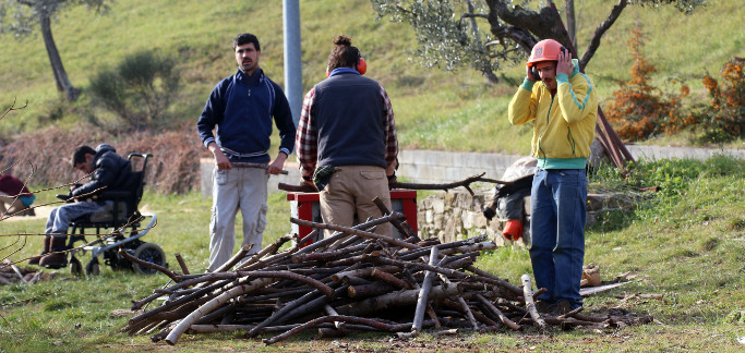 Agricoltura sociale, approvata la proposta di legge