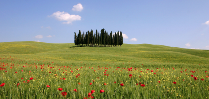 La Toscana punta per il futuro sui turisti in arrivo dalla Cina