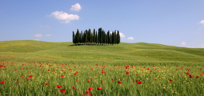 Ristori per il turismo, al via il bando rivolto alle strutture ricettive 