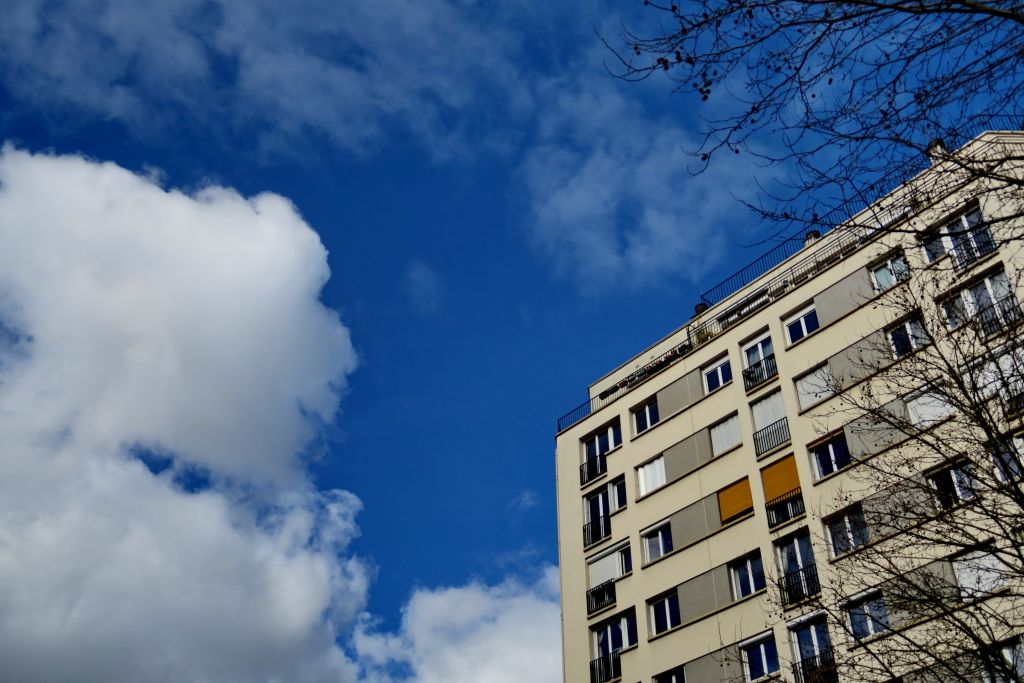 Disciplina per l'assegnazione, gestione e determinazione del ...