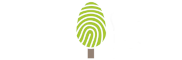 Albero dell'anno 2024