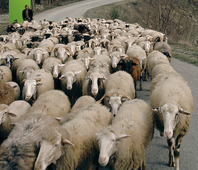Agri&Tour